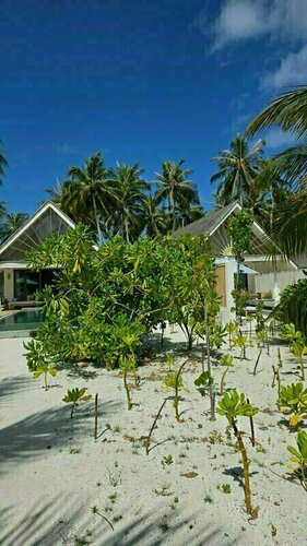 RAH GILI Maldives, Prenota Resort Mahaanaelhihuraa Atollo di Malé Sud