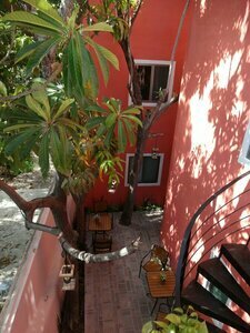 Hotel Boutique Real San Juan Center, Réserver Hôtel-boutique Hôtels à Yucatán avec parking, Parking