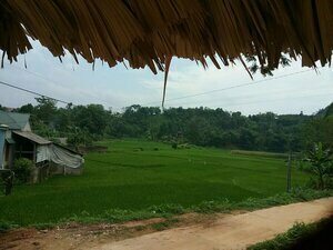 Thac Ba Family Homestay