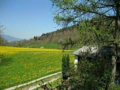 Minotel Bargsunne, Prenota Hotel Spiez 