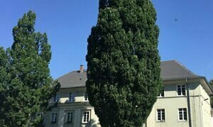 CityApartment Schleiz