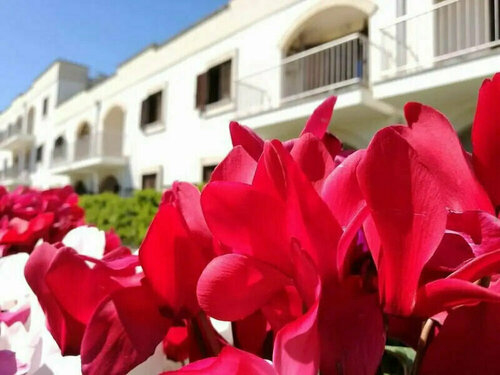 Villaggio Catalano, Prenota Hotel Castellaneta Puglia