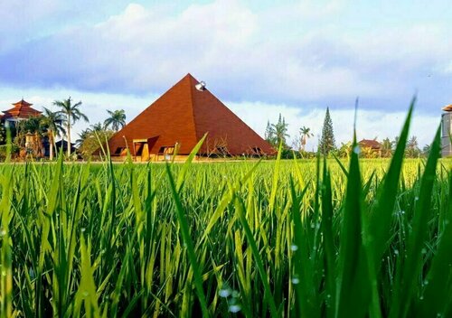 Collection O Ubud Near Central Ubud Formerly Hotel Suly, Prenota Hotel Ubud Gianyar