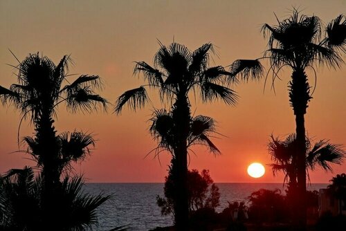 Cynthiana Beach Hotel, Prenota Hotel Hotel a Kissonerga con pasti, Mezza/completa pensione