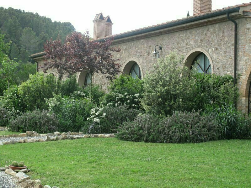 Ginestriccio