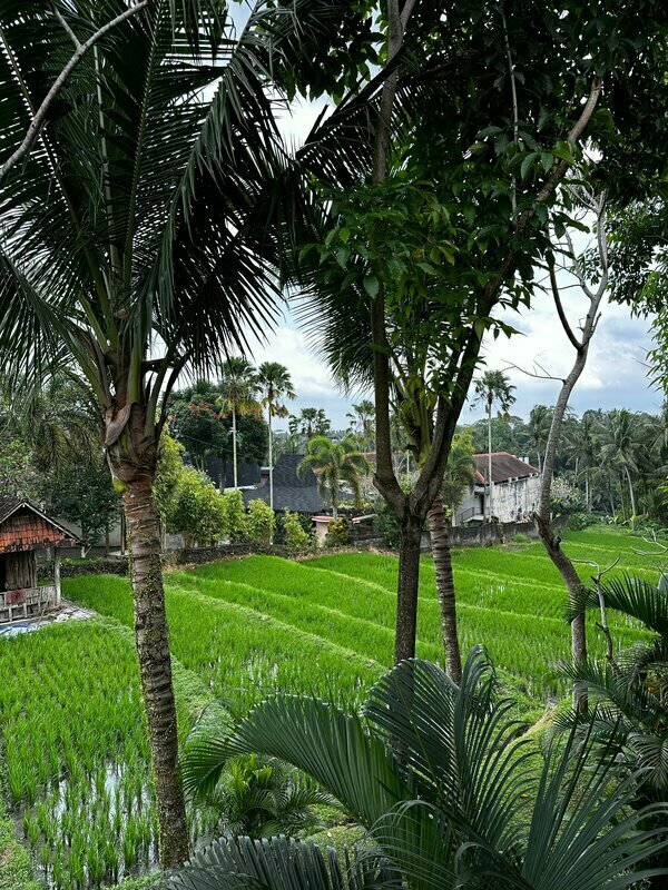 Adiwana Bisma