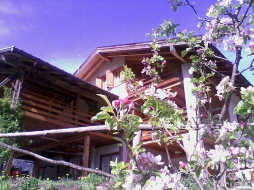 Agritur Scarena, Забронировать Отель Имер Primiero