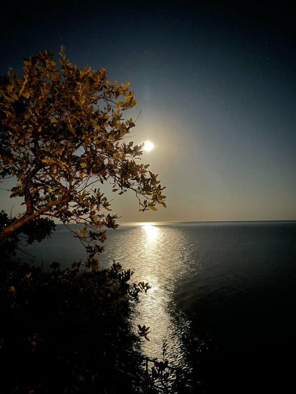 Мореход