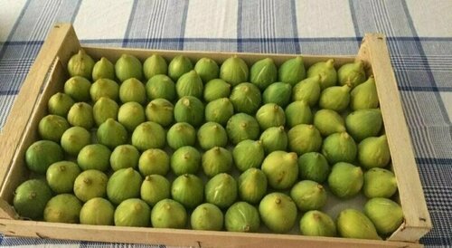 Il Pozzo Medievale, Prenota Hotel Prignano Cilento Cilento
