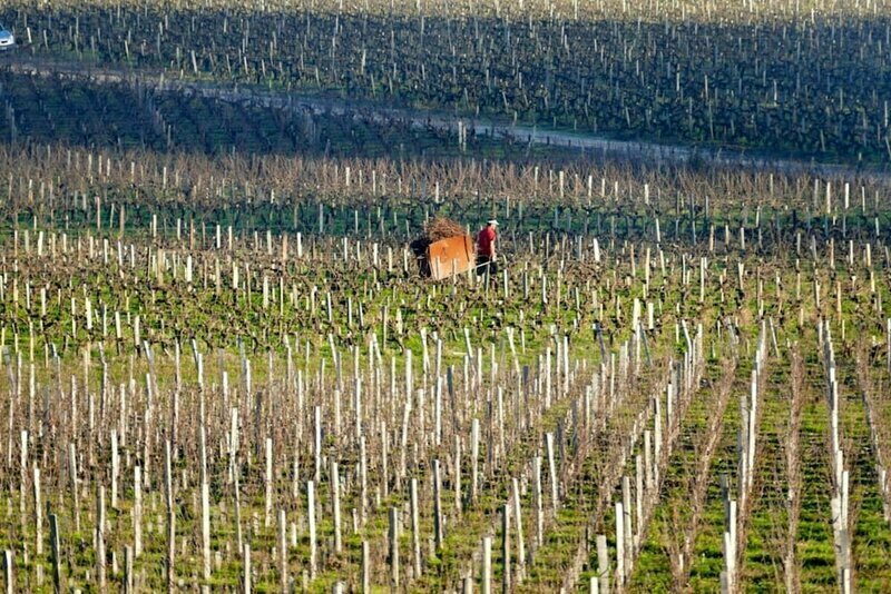 Chateau Marojallia