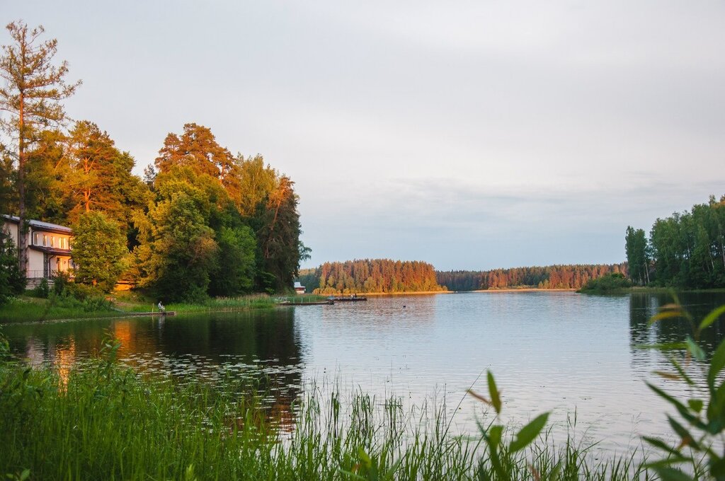 Лесная дача