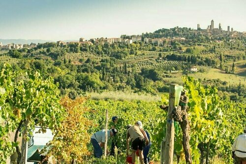 Il Casolare di Bucciano