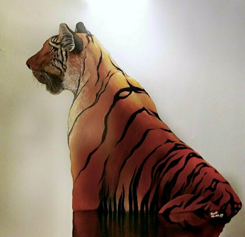 Tiger Hostel Sydney