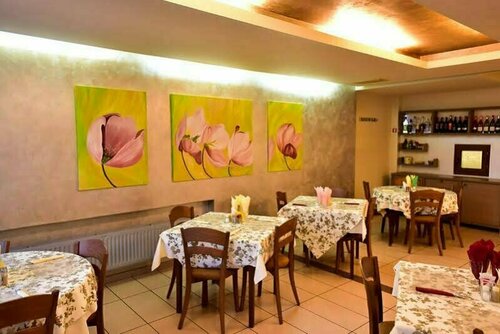 Hotel Silva, Забронировать Отель Тимишоара Тимиш
