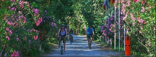 Camping Bella Vista, Rezervasyon Kamp Alanı Balagne kamp ve glamping, Kamp Alanı