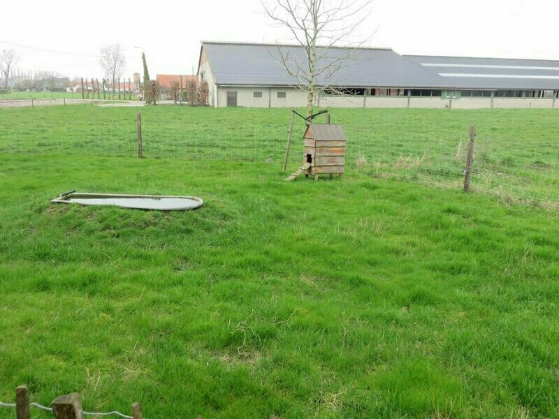 Het Verloren Goed