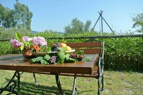 Il Forno Antico, Prenota Hotel San Mauro la Bruca Cilento
