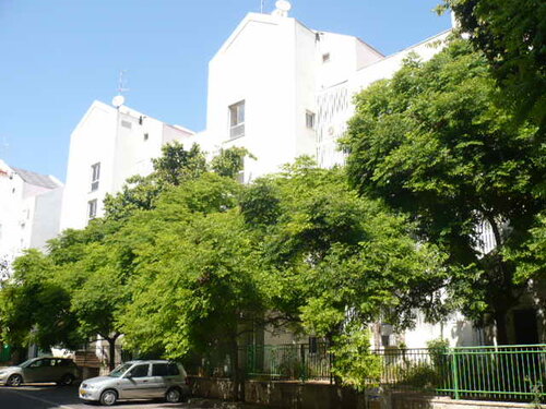 Grand Beach Hotel, Book Hotel Hoteller i Tel Aviv med pool, Swimmingpool