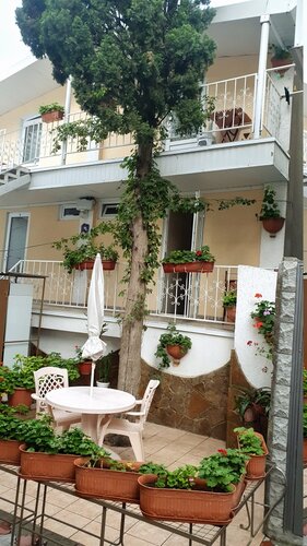 Bereket, Rezervasyon Misafirhane Aluşta Alushta, Ukraine