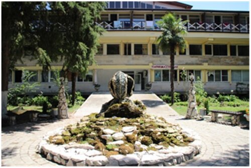 Pitsunda Hotel, Prenota Hotel Hotel a Gagra District con parcheggio, Parcheggio
