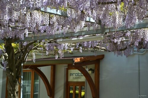 Albergo Ristorante Protti, Забронировать Отель Каттолика Побережье Римини