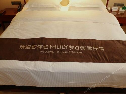 Wuhan Tianchimel Hotel, Prenota Hotel Hotel a Hubei con parcheggio, Parcheggio