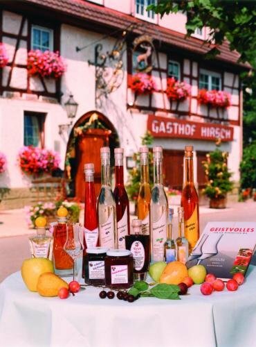 Hotel Hirsch, Réserver Hôtel Hôtels à Bade-Wurtemberg avec parking, Parking