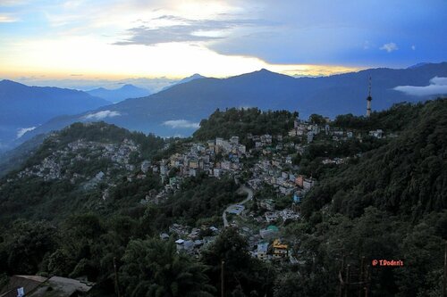 The Griffons Nest, Prenota Hotel Hotel SPA a Gangtok, vicino a Monastero di Enchey, SPA