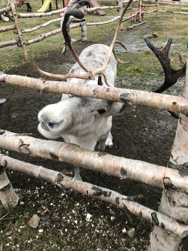 Murmanskaya strausinaya ferma, Đặt Nghỉ tại trang trại Khách sạn ở Murmansk có chỗ đỗ xe, Bãi đậu xe