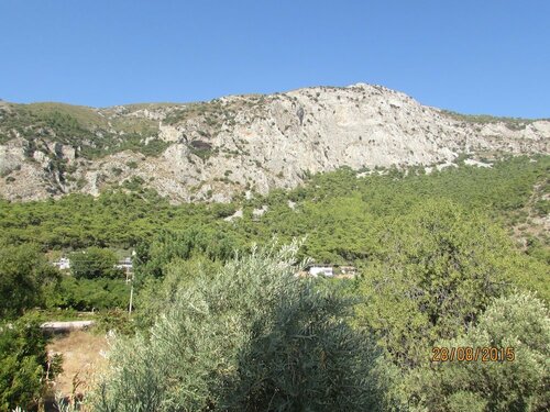 Marti Pansiyon, Rezerwuj Hotel Oren Muğla
