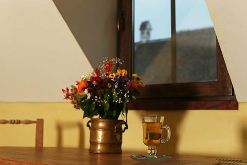 Burg Hostel Sighisoara, Reserva ahora Albergue Hostales en Mureş, Albergue