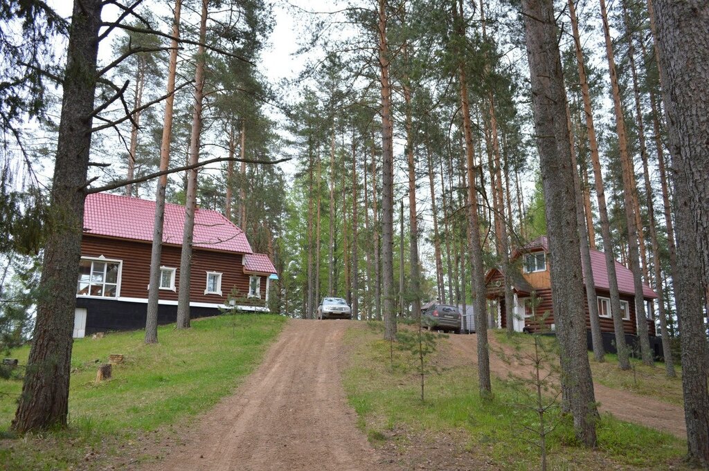 Алёнушка
