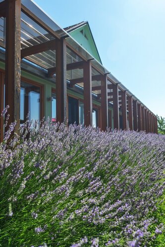 B&B Villa Angelina, Réserver Chambre d'hôtes Olimje Slovénie