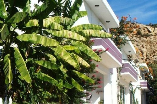 Panorama B&B, Đặt Nhà nghỉ có bữa sáng Archangelos Rhodes Town