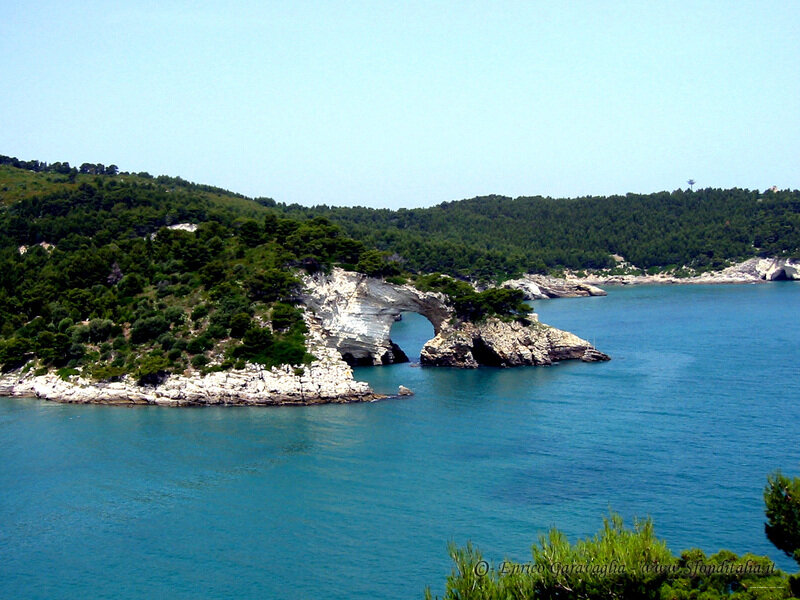 Green Paradise Resort