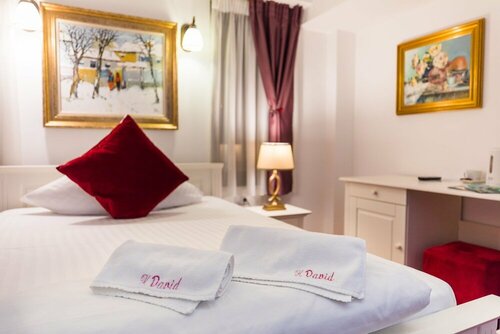 Hotel Casa David, Prenota Hotel Hotel 4 stelle a Craiova, 4*