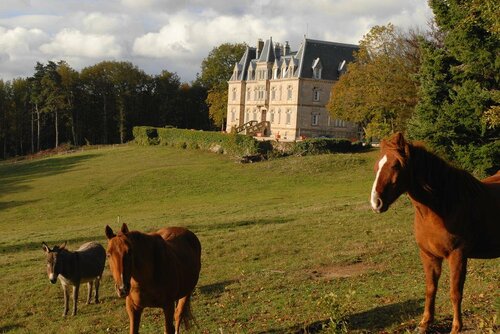 Château des Faugs, Book Pension Hoteller i Rhône-Alps med parkering, Parkering