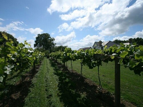 Jabajak Vineyard Restaurant With Rooms, Rezervați Pensiune Hoteluri în Dyfed cu parcare, Parcare