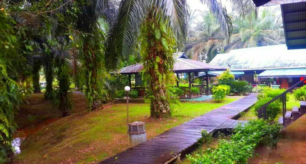 Sukau Backpackers B&b