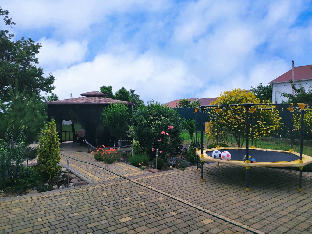 Povesol Sofora