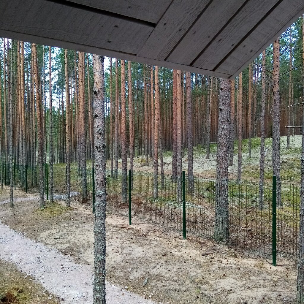 Туулос