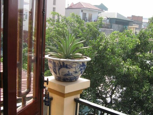 Tung Trang Hotel, Забронировать Отель Отели Ханоя с бассейном, Бассейн