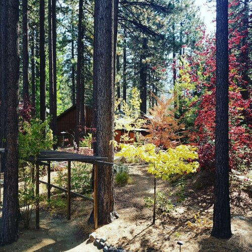 Deerfield Lodge at Heavenly, Забронировать Отель Отели South Lake Tahoe Area с бассейном, Бассейн