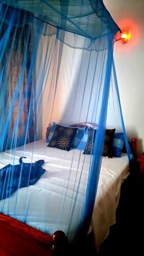 Samadhi Guest Inn Ella, Забронировать Гостевой дом Элла Шри-Ланка