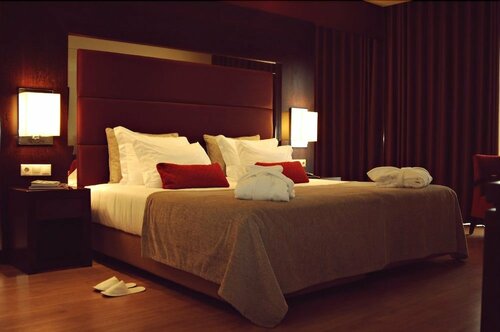 Palace Hotel & Spa Termas de S. Miguel, Réserver Complexe hôtelier Fornos de Algodres Beira intérieure Nord