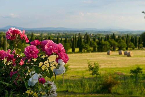 Villa Borgo San Pietro, Забронировать Вилла Отели Кортона с парковкой, Парковка