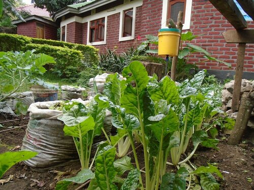 Themi Valley Eco  Tourism Homestay, Réserver Chambre d'hôtes Hôtels à Themi avec petit-déjeuner, Petit-déjeuner