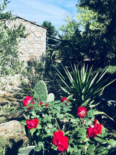 Casa Vacanze Fattoria Pozzitello, Забронировать Отель Васто Побережье Абруццо