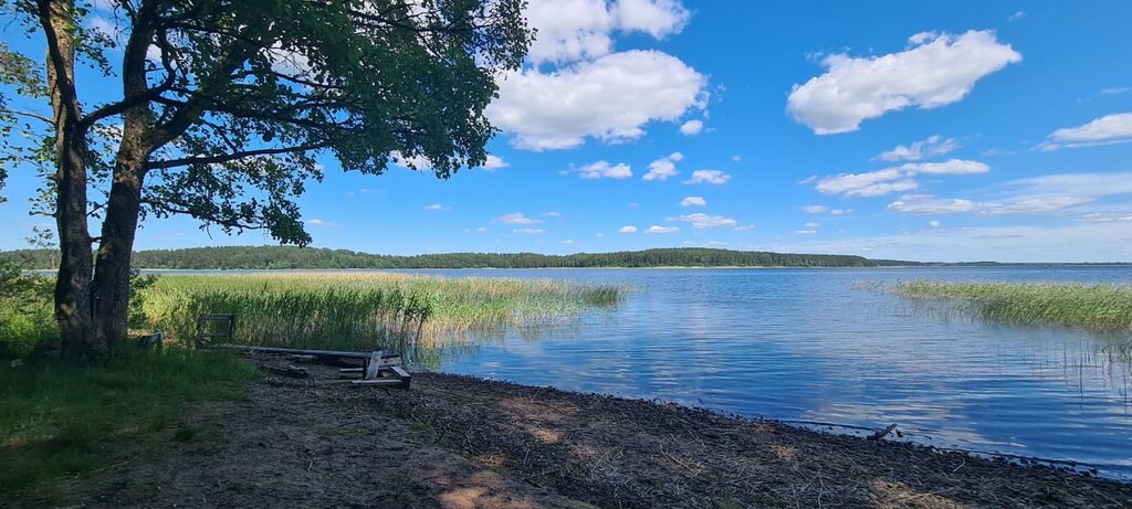 Гусев Вилладж