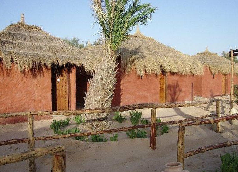 Mehari Douz